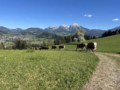 Bild 15 aus  Ferienhof Berger