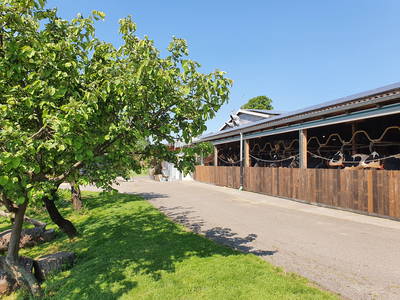 Bild 12 aus  Drehers Erlebnishof