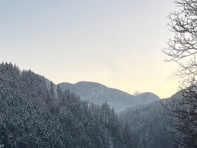 Bild 90 aus  Ascherhof