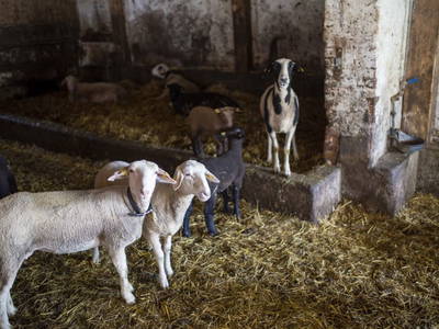 Bild 13 aus  Hausblick Matt