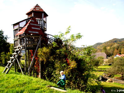 Bild 37 aus Bauernhof Liendl