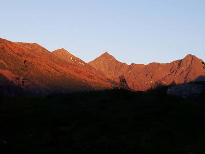 Bild 78 aus  Denggnhof