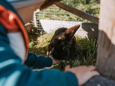 Bild 19 aus  Gasperhof