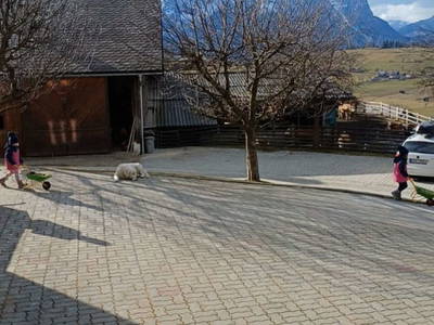 Bild 141 aus  Hüttstädterhof