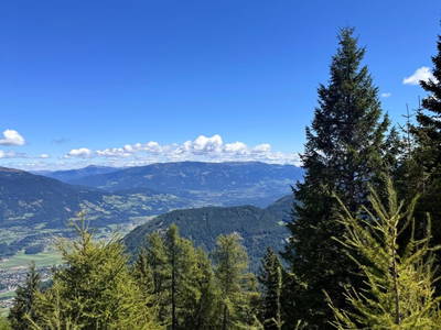 Bild 22 aus  Wallneralm