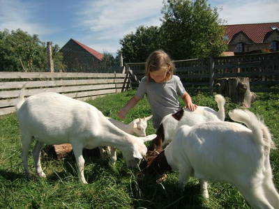 Bild 14 aus  Braunsberger Höfe