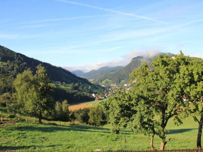 Bild 81 aus  Panorama Hof Fa. Sereinig