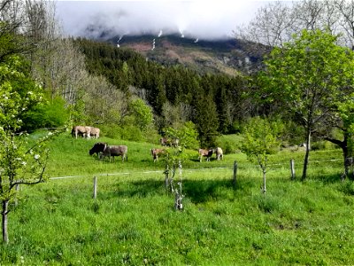 Bild 10 aus Christerbauerhof