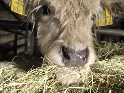 Bild 58 aus  Santnergut