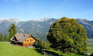 Scharlingerhütte aus Haus