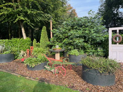 Bild 31 aus  Ferienhof Westermann