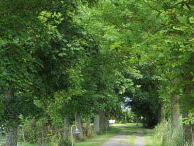 Bild 5 aus  Nase im Wind