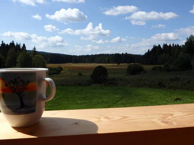 Bild 8 aus  Holzhäusl am Nationalpark