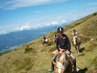 Bild 21 aus  Reitbauernhof Ferner