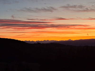 Bild 25 aus  Langhanshütte