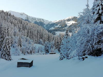 Bild 16 aus  Alpboden