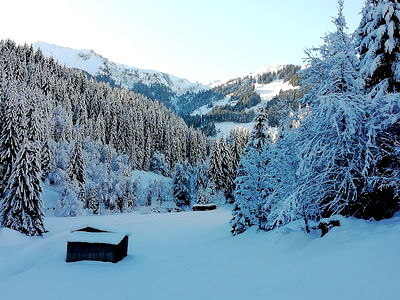 Bild 17 aus Alpboden