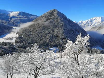 Bild 72 aus  Bruderhof