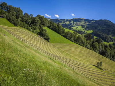 Bild 42 aus  Ederbauer