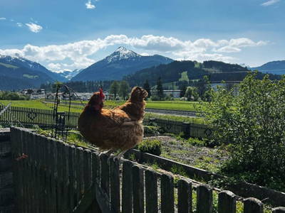 Bild 8 aus  Sinnhubgut