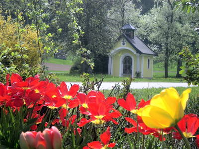 Bild 30 aus  Traunsee - Chalet am Götschhof