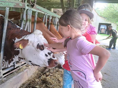 Wenn Kinderaugen leuchten
