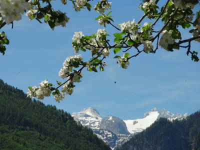 Bild 223 aus  Stanglhof