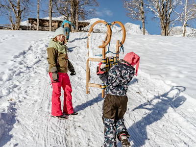 Bild 59 aus  Biobauernhof Brandlhof