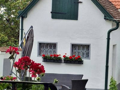 Bild 73 aus Ferienhaus Weinviertel