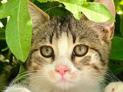 Bild 31 aus  Reiherhof