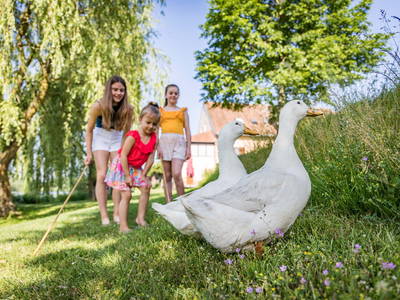 Foto von Oberpfälzer Wald