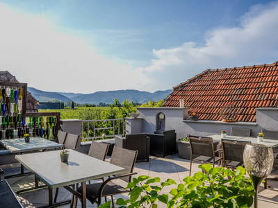 Bild 7 aus Winzerhof Mörtinger