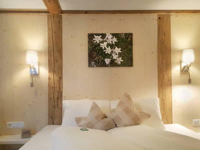 Bild 340 aus  Der Ortnerhof