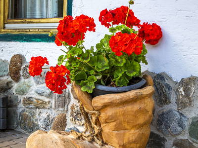 Bild 120 aus  Pesbichl