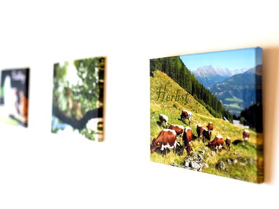 Bild 72 aus Bio-Bauernhof Auernig