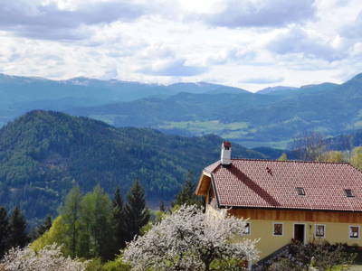 Bild 49 aus  Wohlfühloase Koglerhof