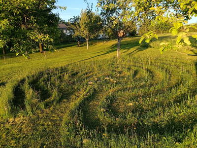 Bild 10 aus  Natur Erlebnishof Aumayr