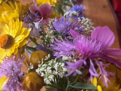 Bild 8 aus  Ascherhof