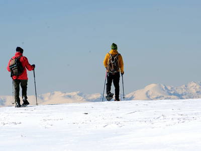 Bild 160 aus  Panorama Hof Fa. Sereinig