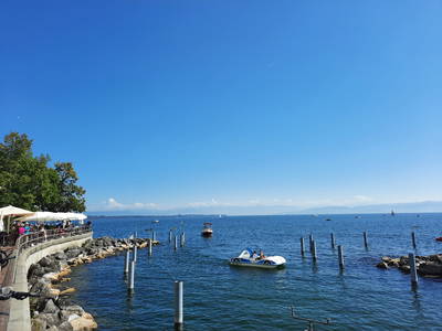 Bild 34 aus  Erholung - Natur pur - Urlaub auf dem Loyerhof