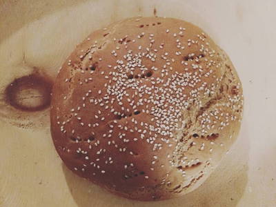 Bild 77 aus  Hartlhof Urlaub am Baby- und Kinderbauernhof