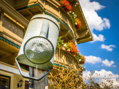 Bild 33 aus  Bio-Bauernhof Obertrattenbachhof