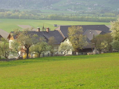 Bild 10 aus  Schwoaga