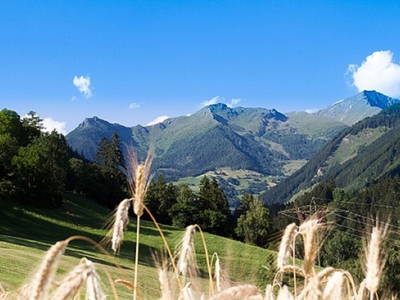 Bild 67 aus  Ranacherhof im Nationalpark der Hohen Tauern