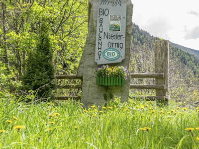 Bild 106 aus  Niederarnigerhof