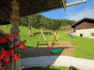 Viel Platz zum Spielen