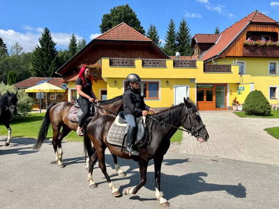Bild 16 aus  Kuchlbauer