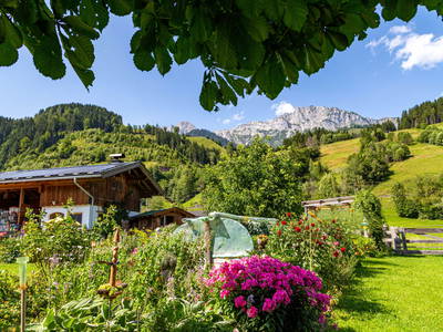 Bild 74 aus  Biohof Herzoghof