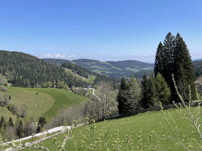 Bild 5 aus  Mörthandrä Hütte 