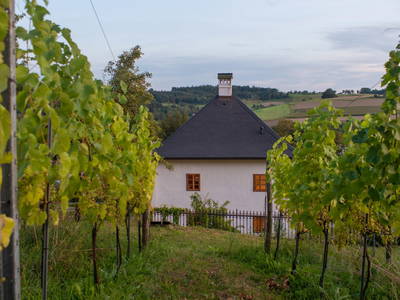 Bild 93 aus  Trattnachtaler Weinhaus